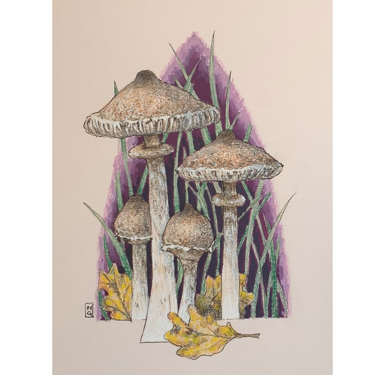 Slender Parasol Mushrooms small original drawing