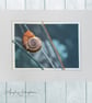 Fine Art Photograph with Embroidery - Snail on Grass Stalk - Image 2
