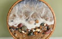 OOAK Wall Art