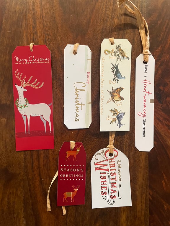 Set of 6 assorted Christmas Tags