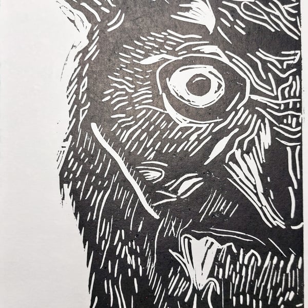Black Screech Owl - A4 original lino print