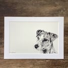 Jack Russell Terrier Dog Print - JRT owner gift, art print