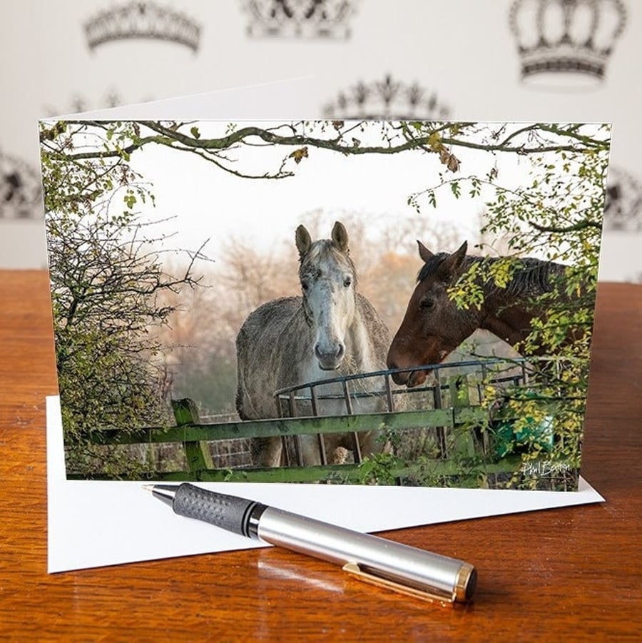 Grazing Horses Greetings Card - Cute Baby - Blank Inside - Birthday Card - Mothe