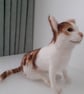 Kitten, Cat, needle felted wool, ooak,collectable  - Image 3