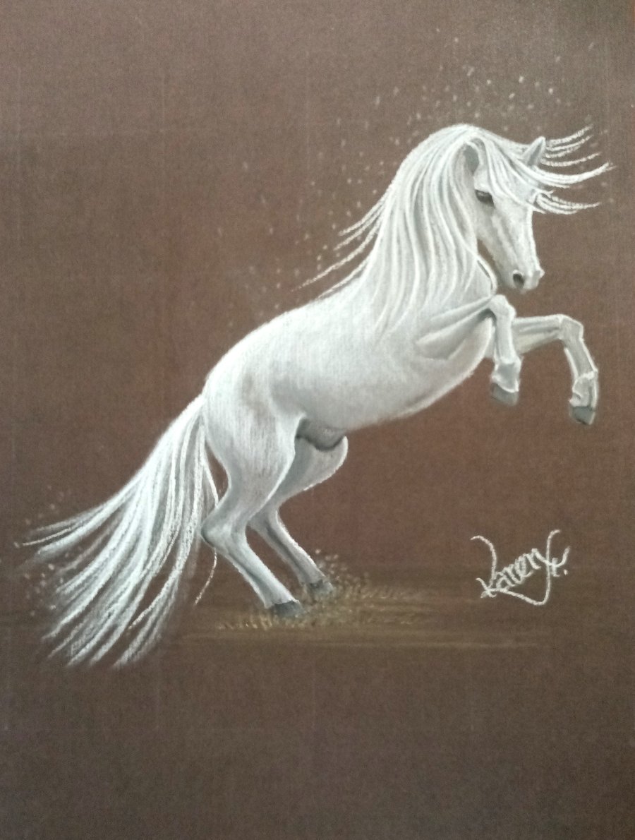 Greeting Card Bundle - Horses