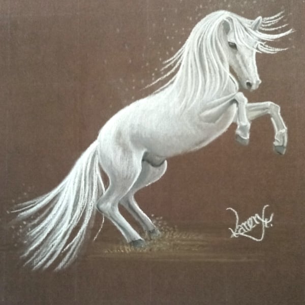 Greeting Card Bundle - Horses