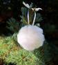 Real wool Christmas bauble, Safe for pets and children Scandinavian style - Image 10
