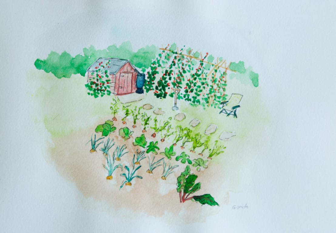 'The Veg Patch' original watercolour A4