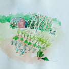 'The Veg Patch' original watercolour A4
