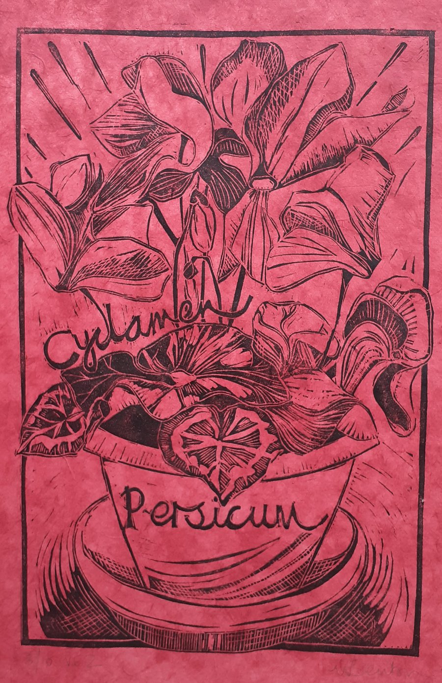 'Cyclamen Persicum', Lino Print in Black on Rose Lokta Paper (VE2)