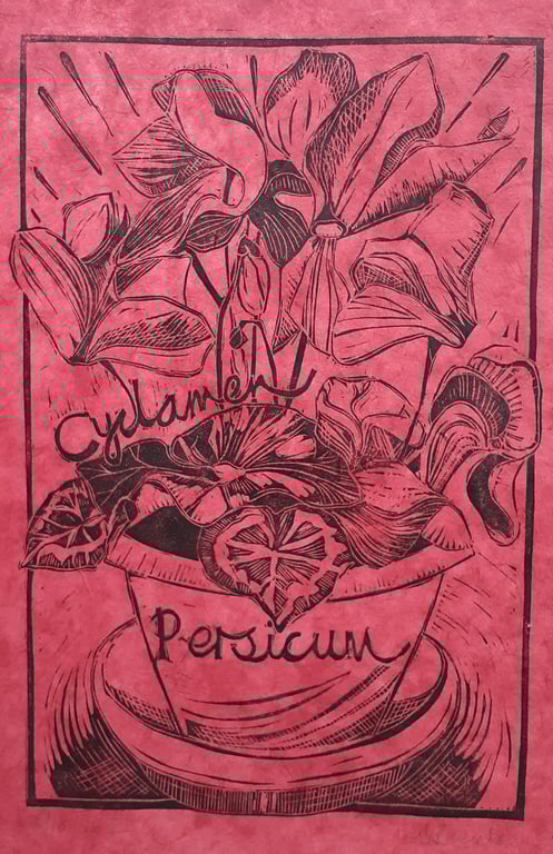 'Cyclamen Persicum', Lino Print in Black on Rose Lokta Paper (VE2)