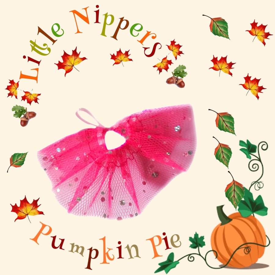 Reduced - Little Nippers’ Bright Pink Party Skirt