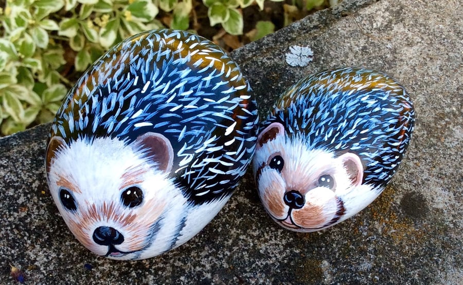 Hedgehogs hand painted on stones 