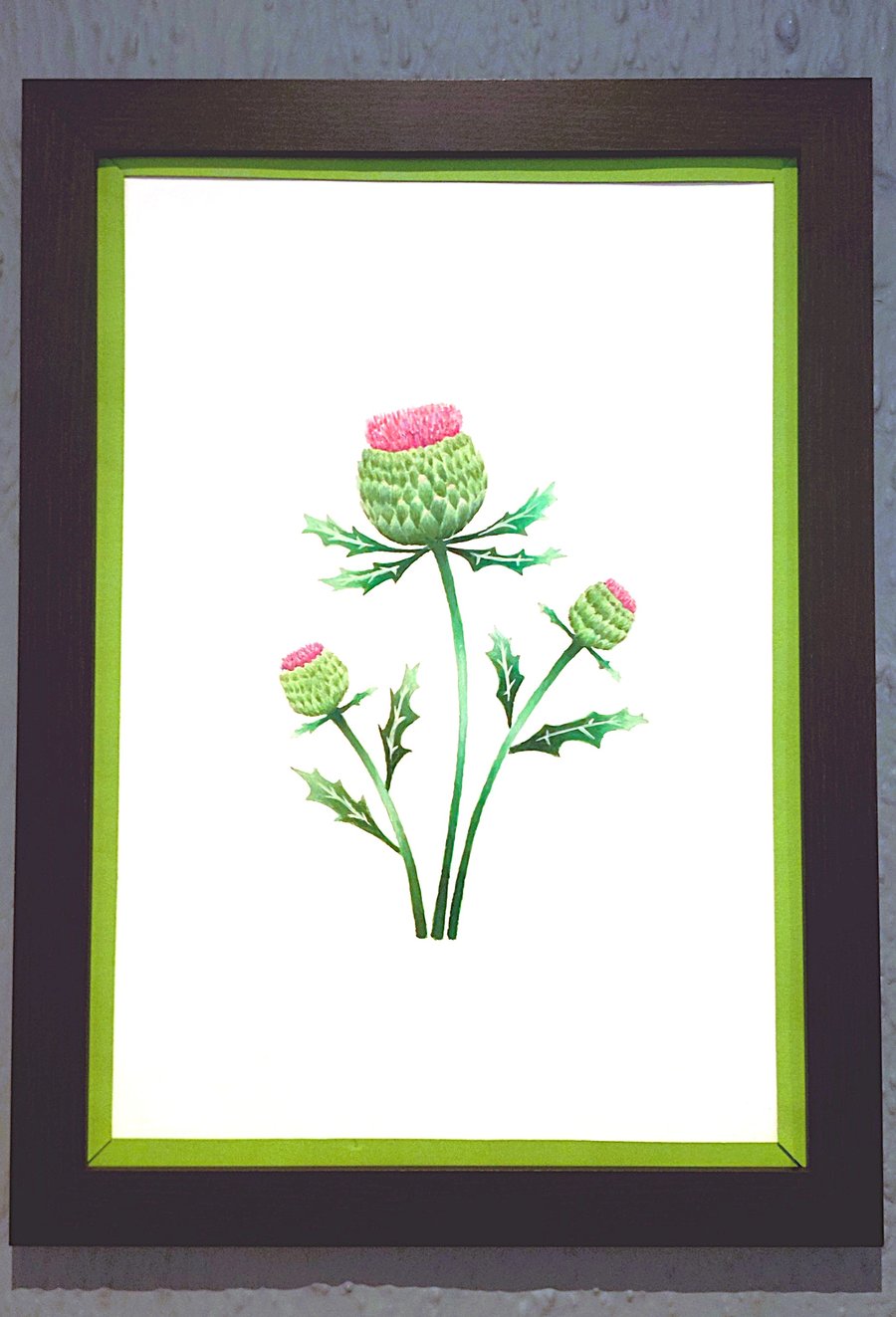 Genuine Made in UK Framed A3 Print Scottish Thistles Vibrant Light Green Border