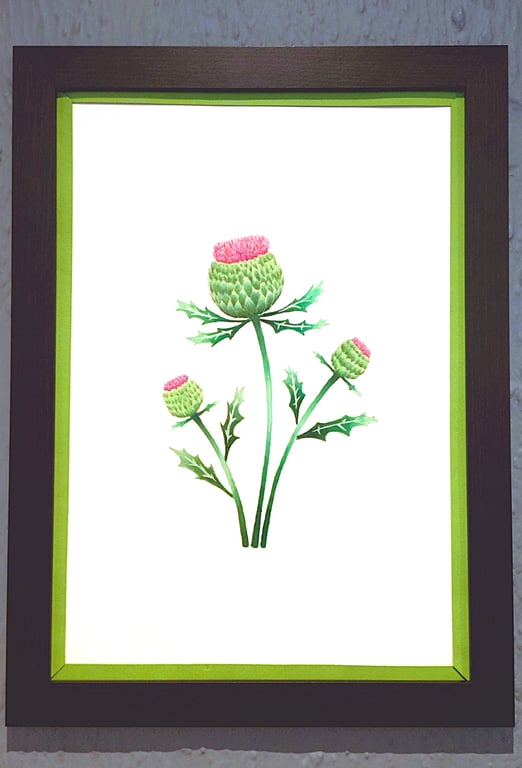 Genuine Made in UK Framed A3 Print Scottish Thistles Vibrant Light Green Border