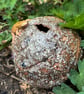 Stoneware sphere with lizard - Image 2