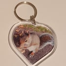 Cute squirrel photography heart shaped keyring 