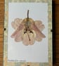 Pressed Rhododendron Flower in A6 Clip Frame