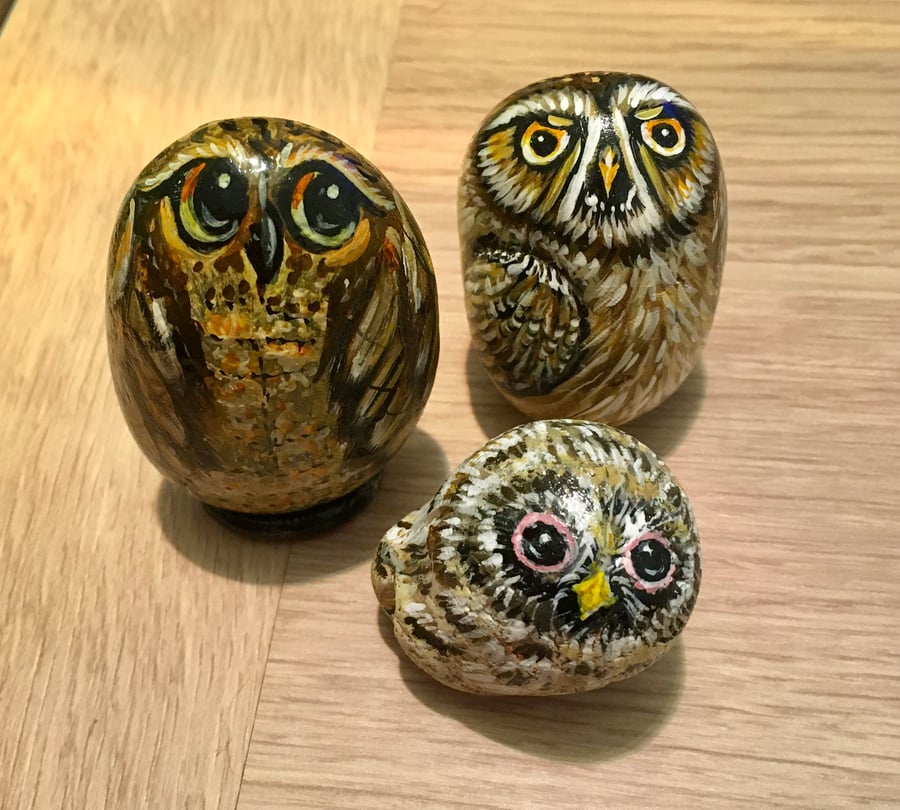 Owl family hand painted pebbles garden rock art wildlife portrait stone pets 