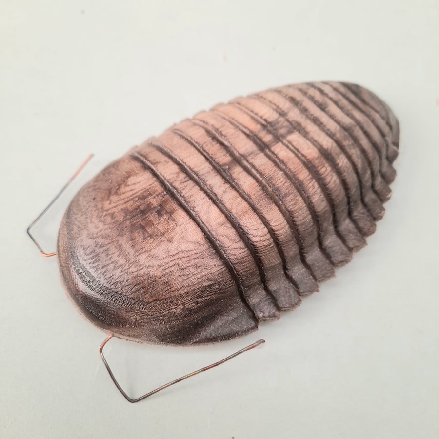 Articulating Wood louse