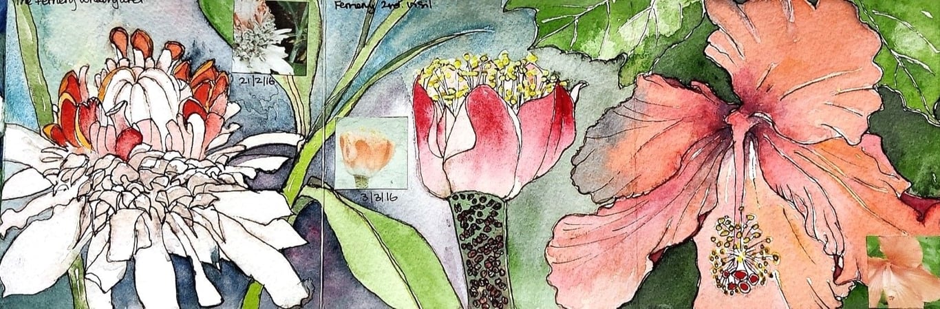 Wild Nature Inspirations