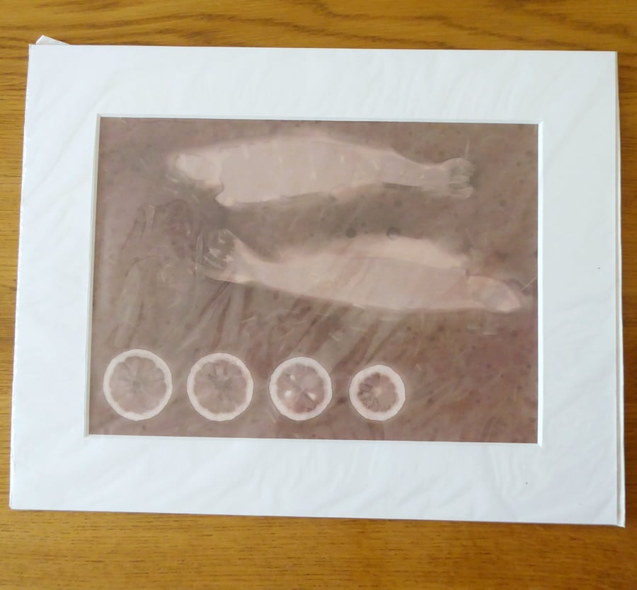 Sustenance Print from Original Photogram ivory mount to fit 11x14 inch frame