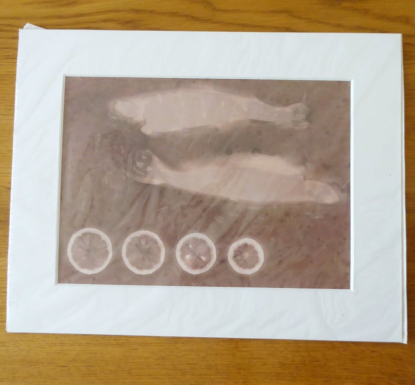 Sustenance Print from Original Photogram ivory mount to fit 11x14 inch frame