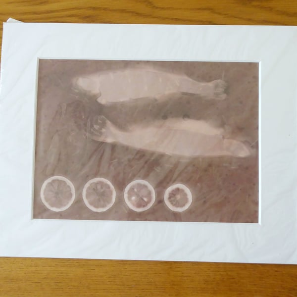 Sustenance Print from Original Photogram ivory mount to fit 11x14 inch frame
