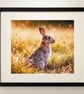 Wild Rabbit  - Image 2