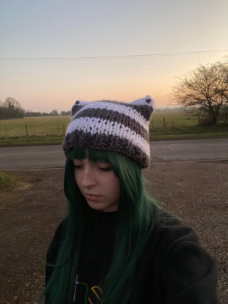 Cat Ears winter Hat Hand Knitted soft acrylic wool raising money for our cat res