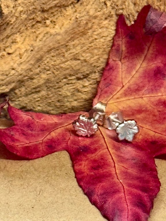 Tiny recycled silver maple leaf stud earrings in a jar 