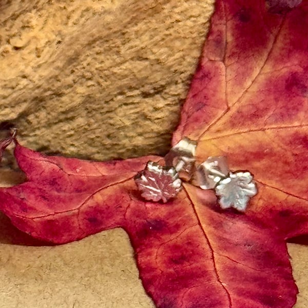 Tiny recycled silver maple leaf stud earrings in a jar 
