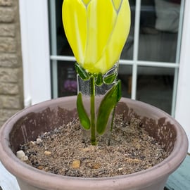 YELLOW “Flower pot peg”