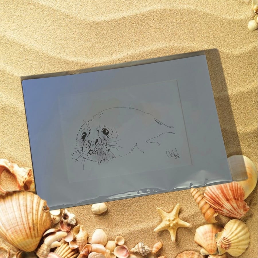 Coastal Wall Art – Seaside Ink & Watercolour Animal Illustrations, Seal