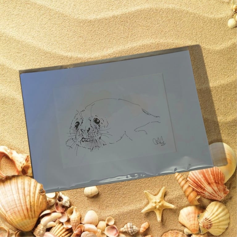 Coastal Wall Art – Seaside Ink & Watercolour Animal Illustrations, Seal