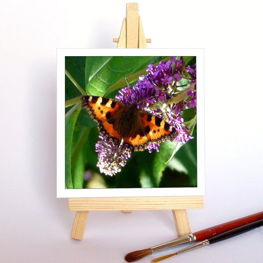'Butterfly on buddleia' with a wooden display easel. Free UK P & P