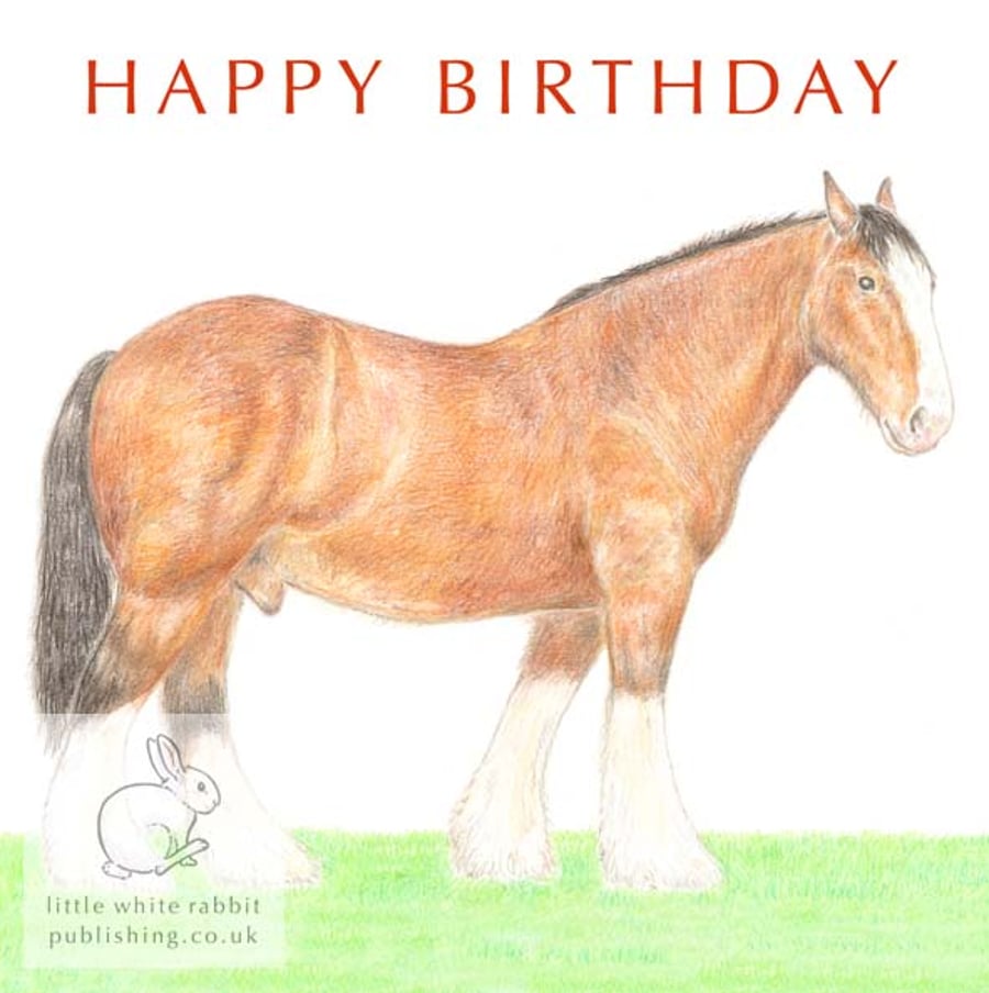 Shire Horse - Birthday Card