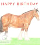 Shire Horse - Birthday Card - Image 1