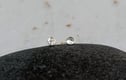 Mini stud earrings 