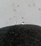 Tiny Round Hammered Recycled Sterling Silver Stud Earrings - Image 1