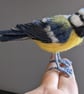 Woollen detailed Blue Tit - Reserved for Kate  - Image 3