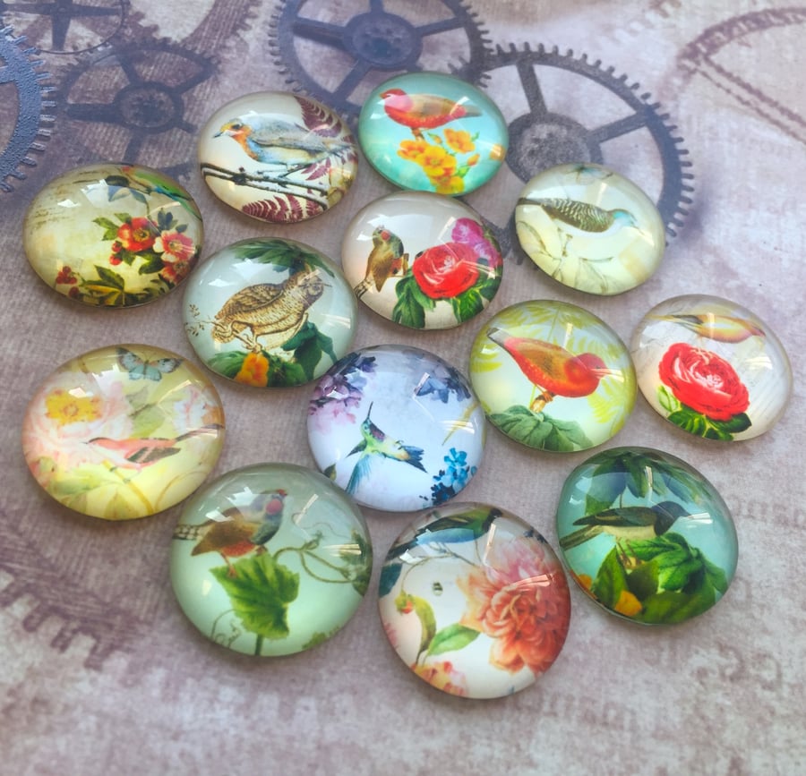 pack of 10 - Round Glass Cabochon 25mm Bird Mix
