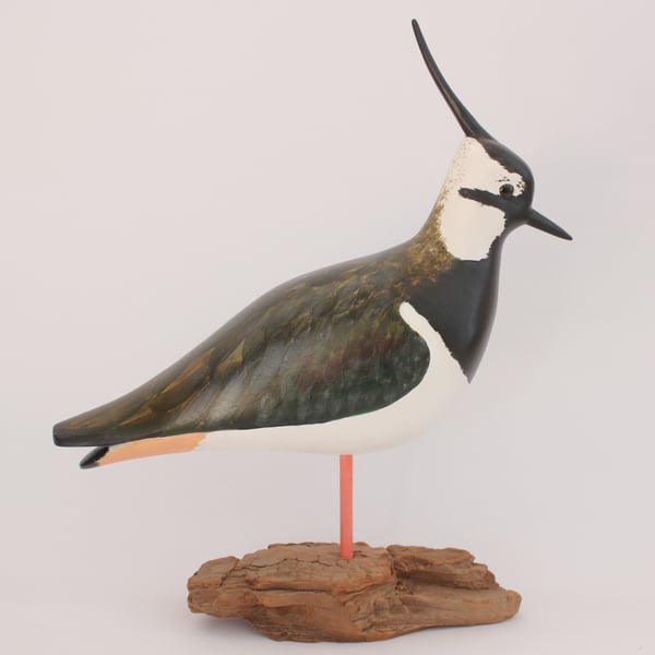 Lapwing