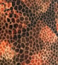 A6:  Orange Brown Snakeskin Print Leather - Leatherbound Lined Notebook - Image 7