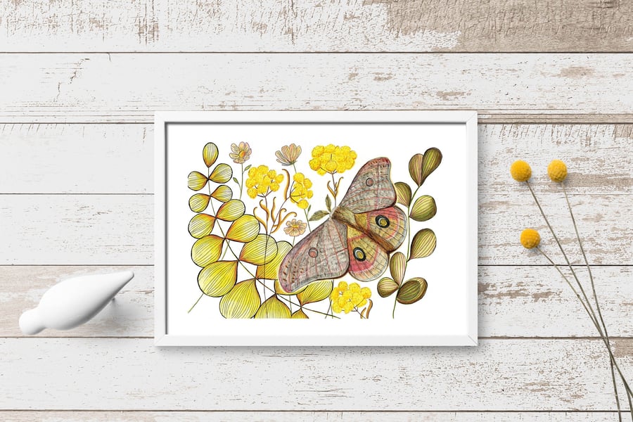 Moth wall art, Moth, Woodland animal print,A4 Art Print,Home Decor,Moth art
