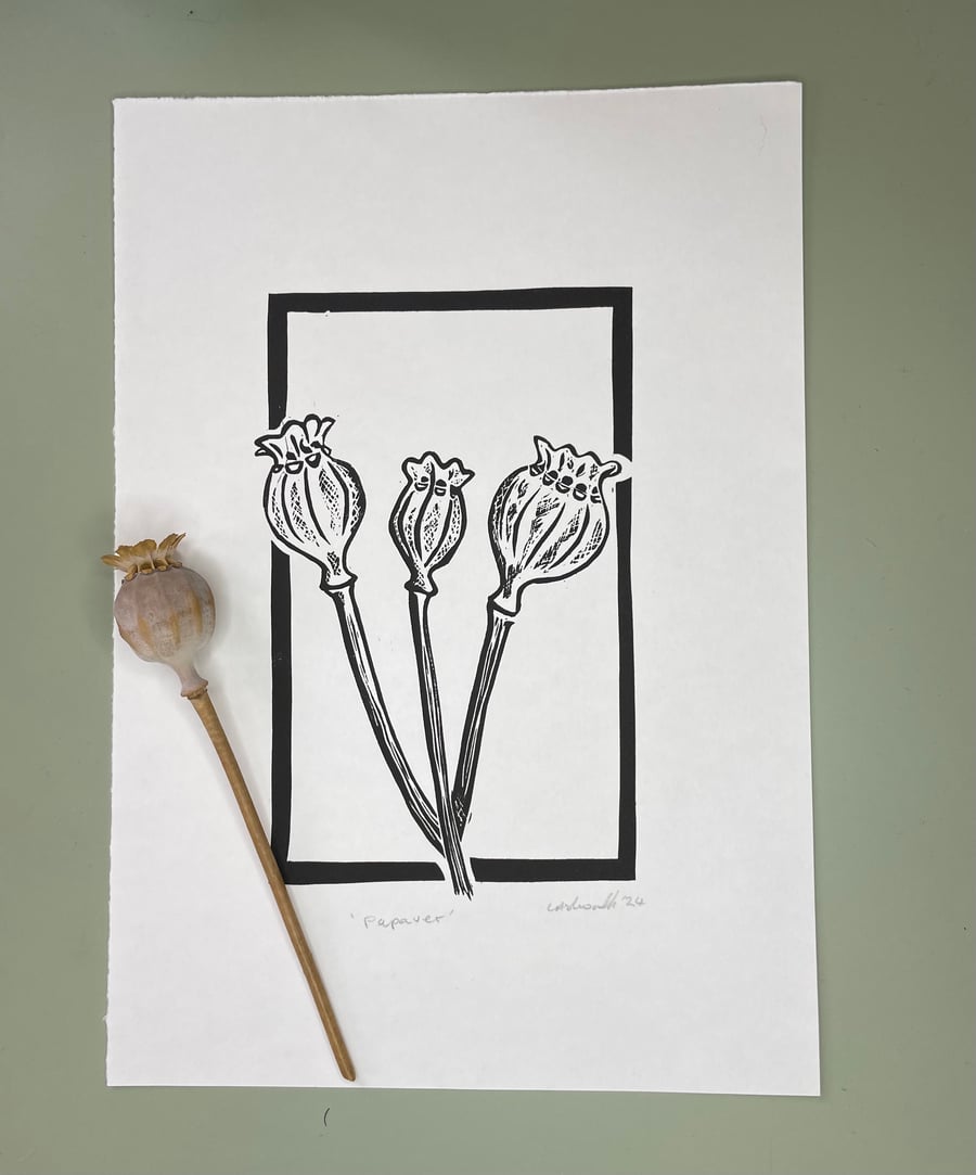 Papaver - Poppy Seed Heads Lino Print Black