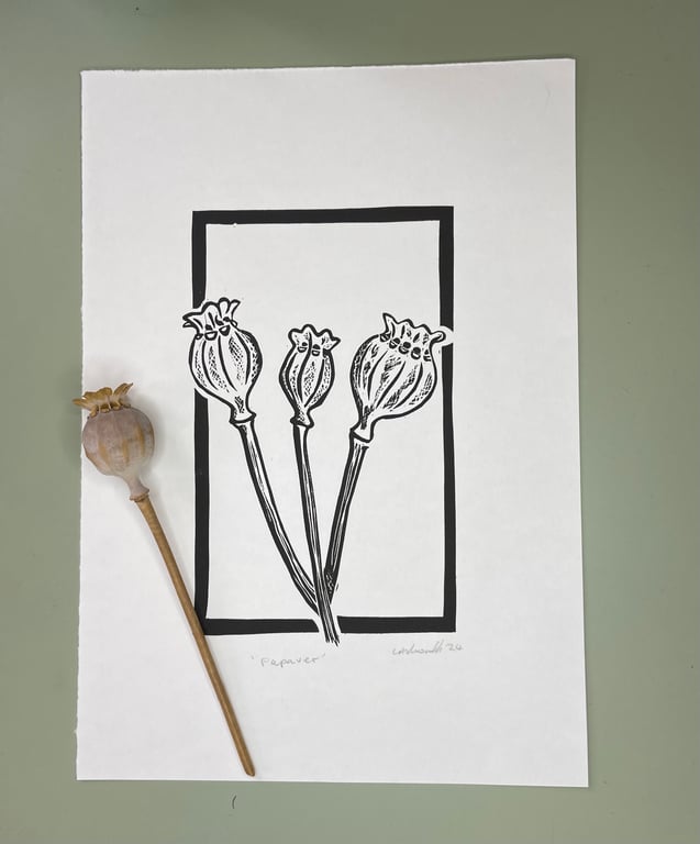 Papaver - Poppy Seed Heads Lino Print Black