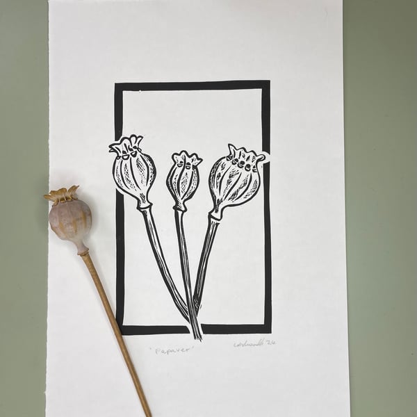 Papaver - Poppy Seed Heads Lino Print Black
