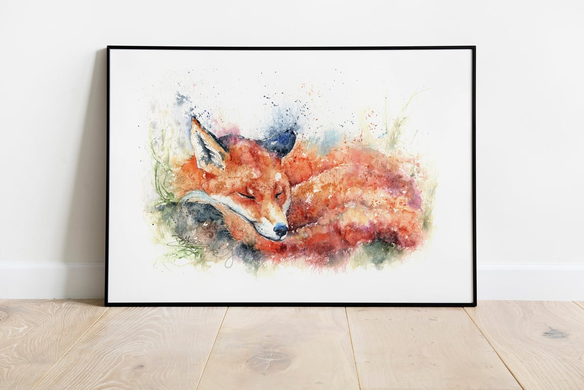 Fox, Dosy Rosie, A Ltd Edition Fine Art Print from an Original Watercolour 