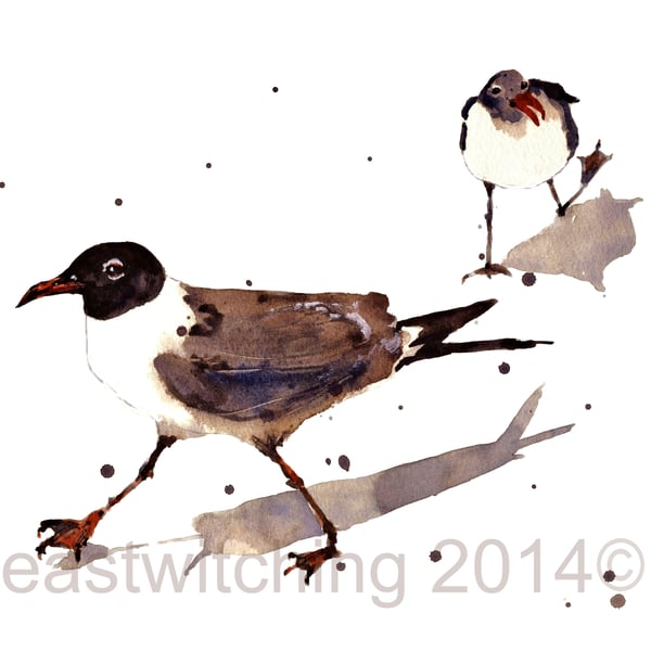 Funny Watercolour SEAGULL Print